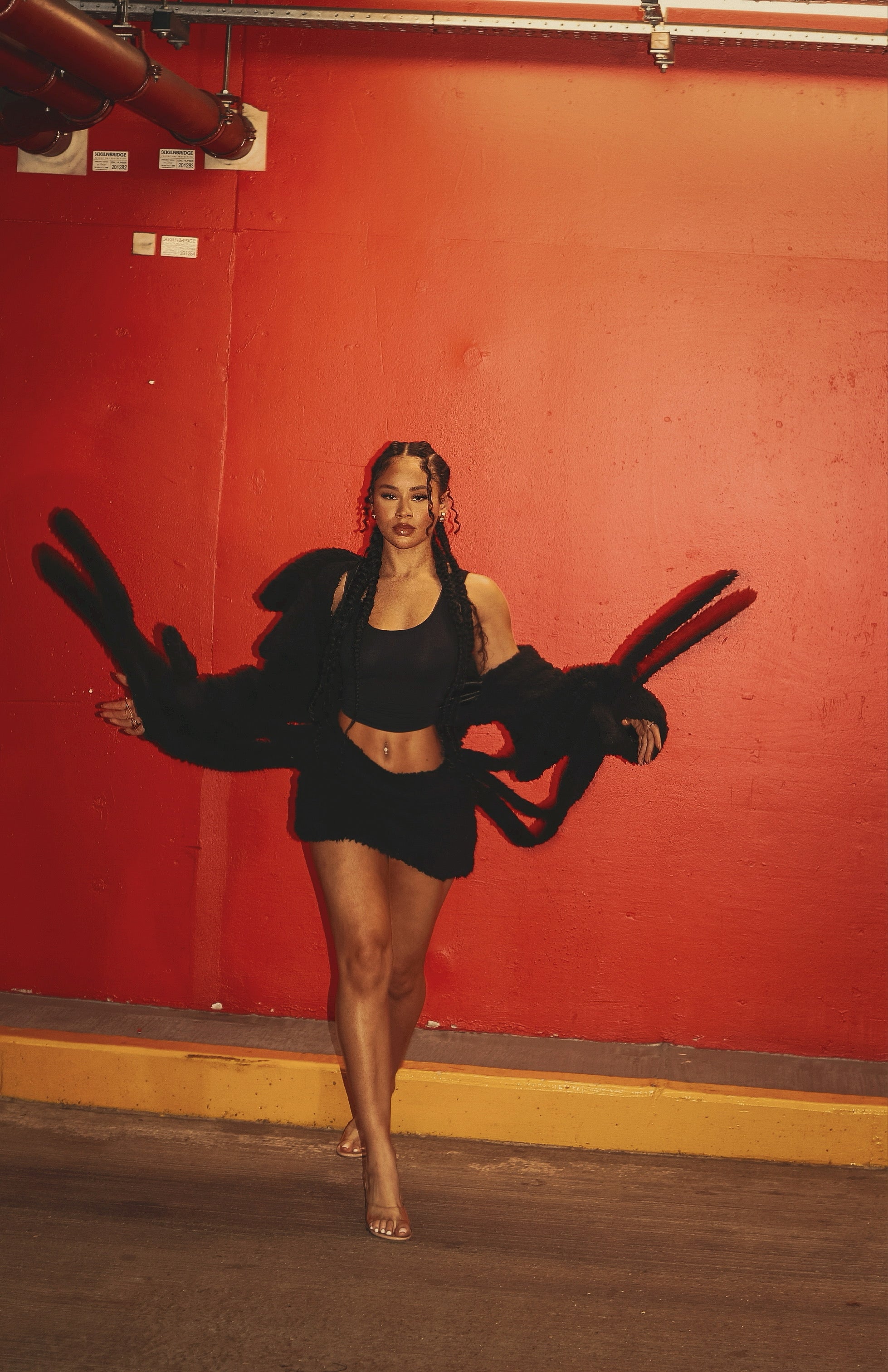 Black blaze skirt set (jacket and skirt)